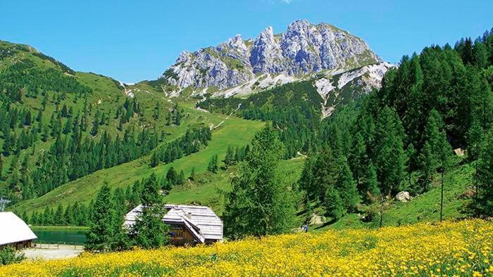 Albergo Spina Pontebba Dış mekan fotoğraf